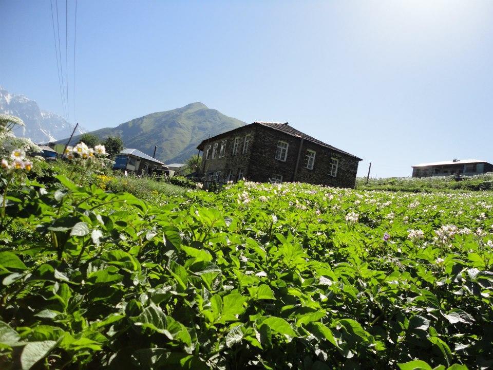 Caucasus Guesthouse Uschguli Exterior foto